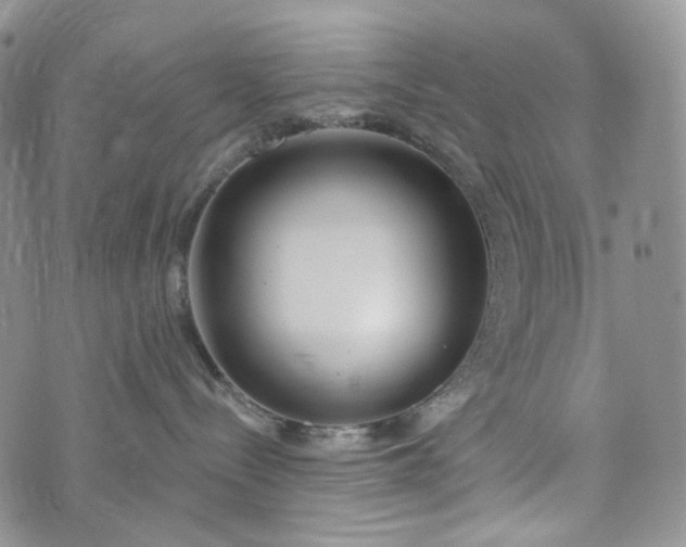 X0000072970288200608041226