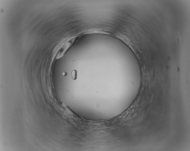 X0000072970289200608041225