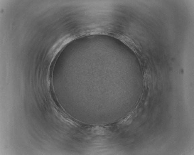 X0000072970290200608041225