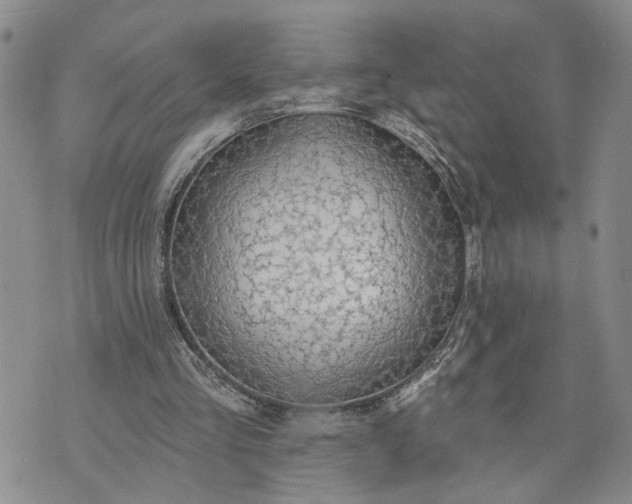 X0000072970293200608041225