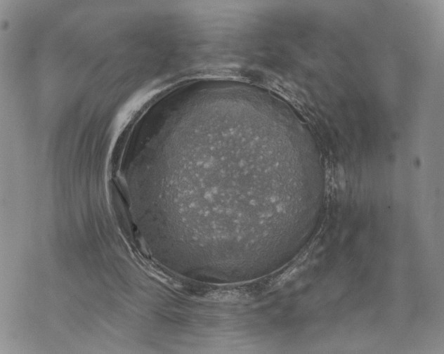 X0000072970294200608041225