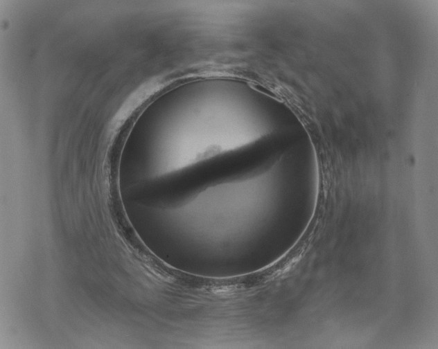 X0000072970295200608041225