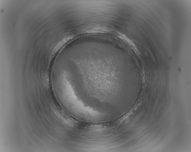 X0000072970298200608041225