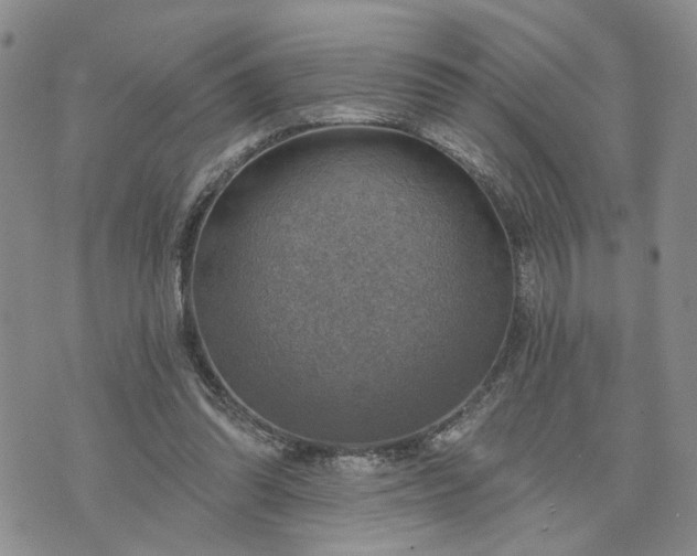 X0000072970302200608041225