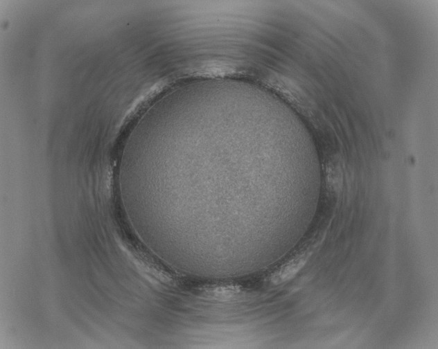 X0000072970304200608041225