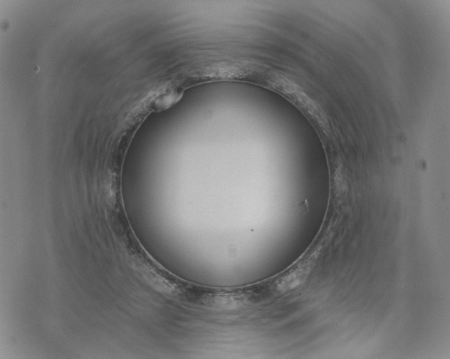 X0000072970305200608041225