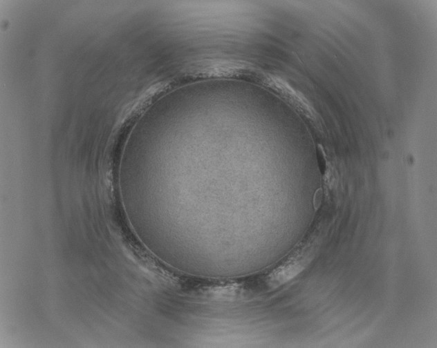 X0000072970306200608041225