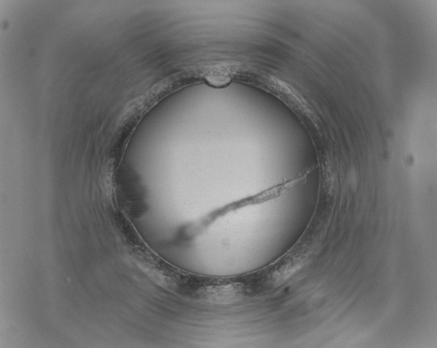 X0000072970307200608041225