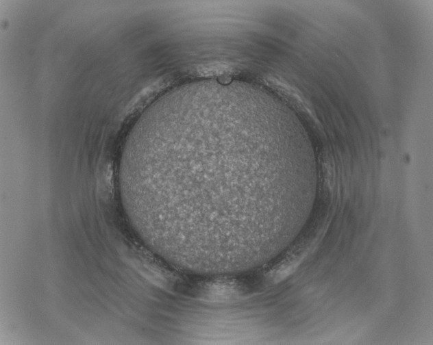 X0000072970308200608041225