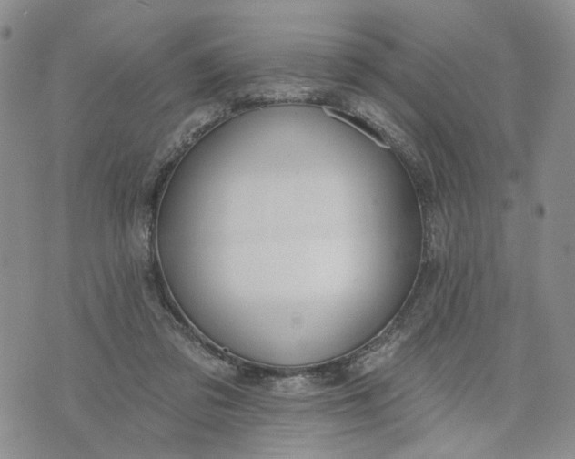 X0000072970309200608041225