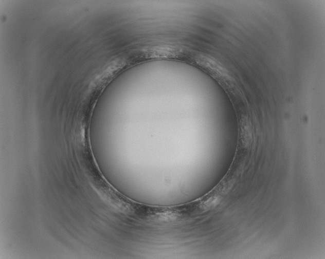 X0000072970310200608041225