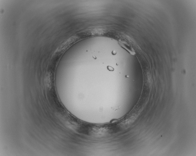 X0000072970311200608041224