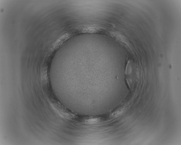 X0000072970312200608041224