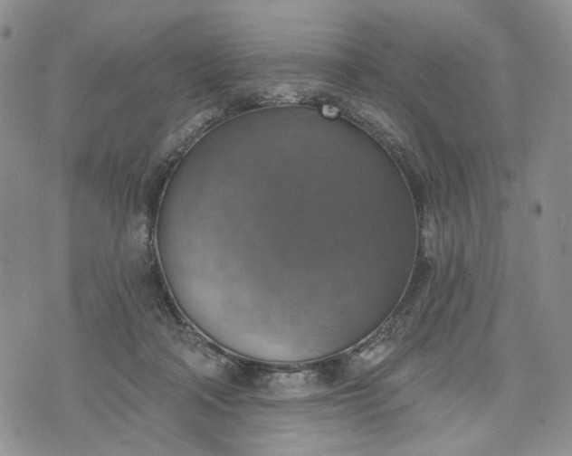 X0000072970314200608041224