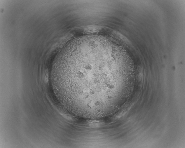 X0000072970315200608041224