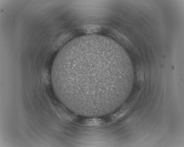 X0000072970316200608041224