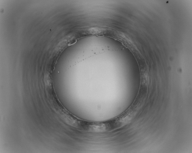 X0000072970317200608041224