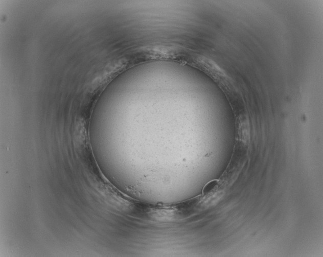 X0000072970318200608041224