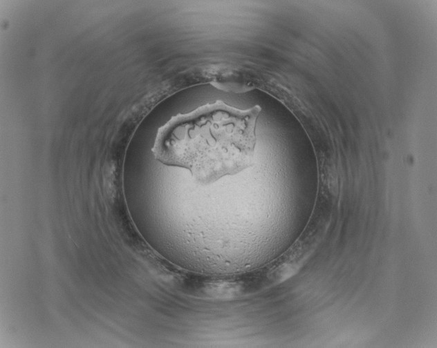 X0000072970319200608041224