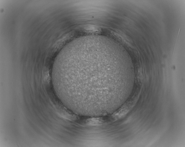 X0000072970320200608041224