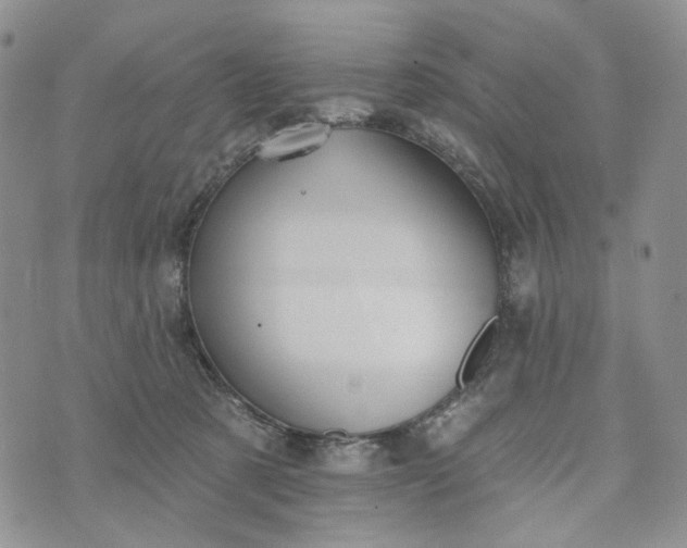 X0000072970321200608041224