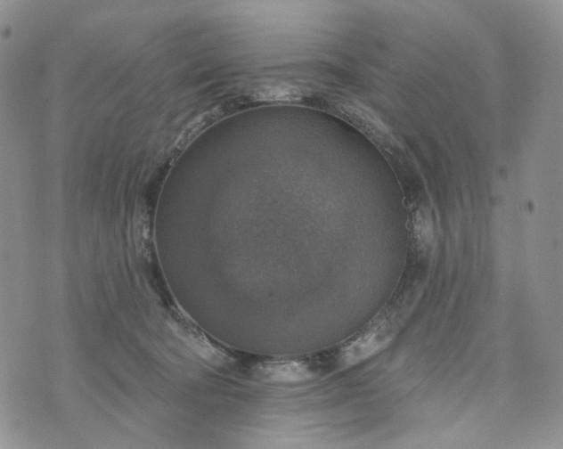 X0000072970322200608041224