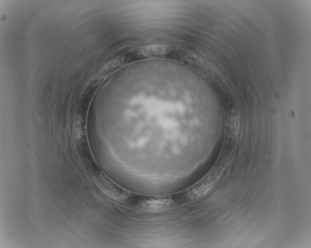 X0000072970323200608041224