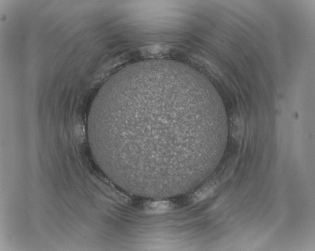 X0000072970324200608041224