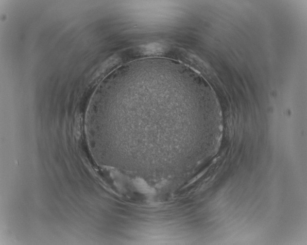 X0000072970325200608041224