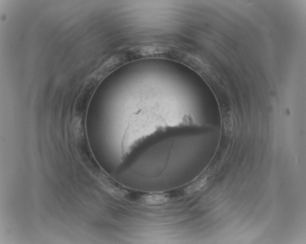 X0000072970327200608041224