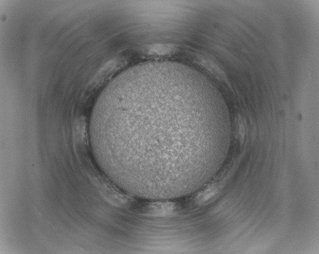 X0000072970328200608041224