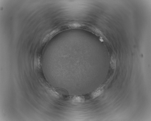 X0000072970330200608041224