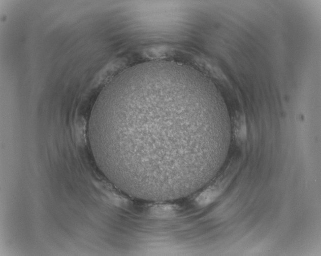 X0000072970332200608041224