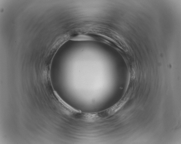 X0000072970333200608041224