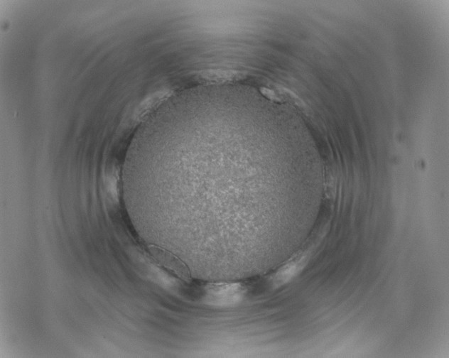 X0000072970334200608041224