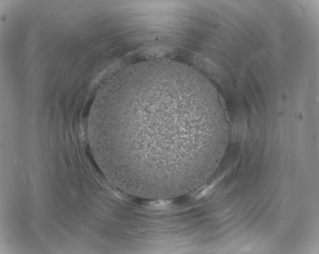 X0000072970335200608041224