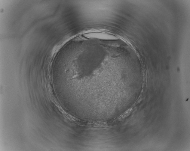 X0000072970337200608041223