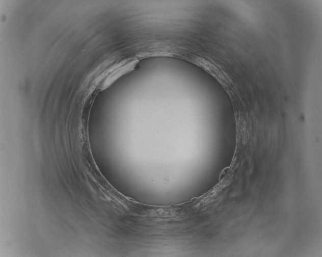 X0000072970338200608041223