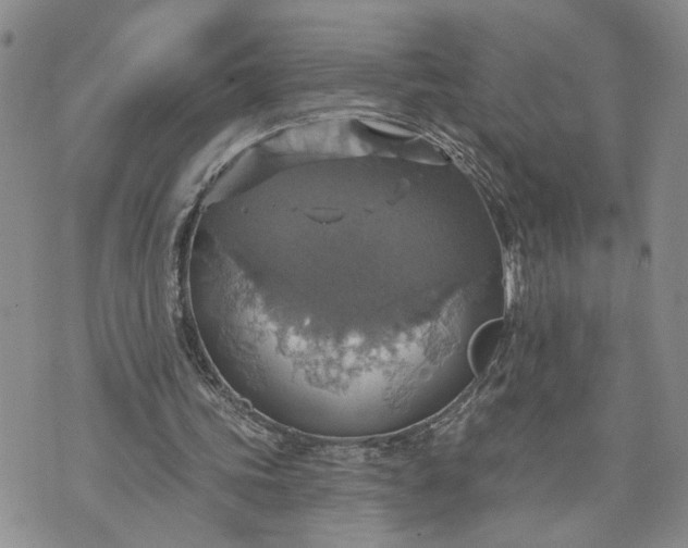 X0000072970339200608041223