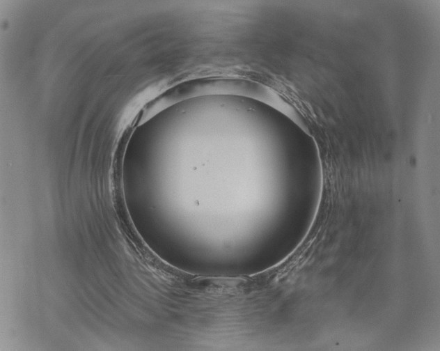 X0000072970340200608041223