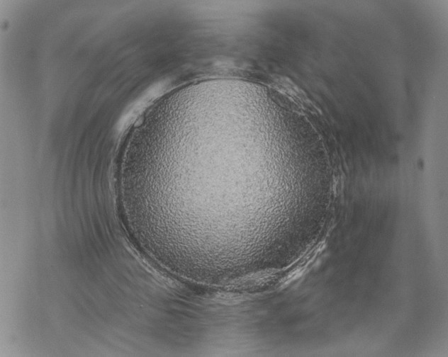 X0000072970341200608041223