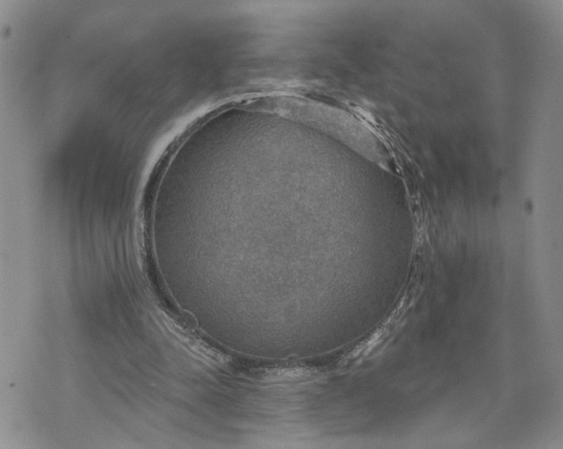 X0000072970342200608041223