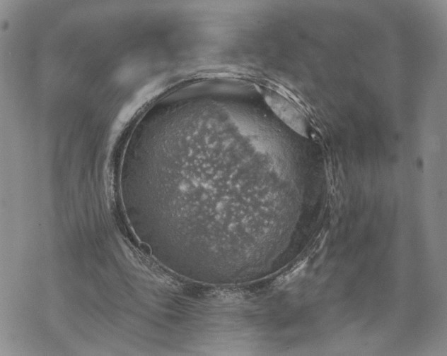 X0000072970343200608041223