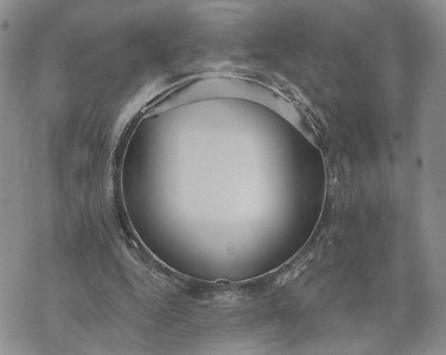 X0000072970344200608041223