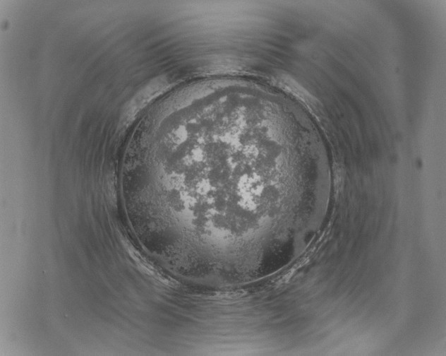 X0000072970345200608041223