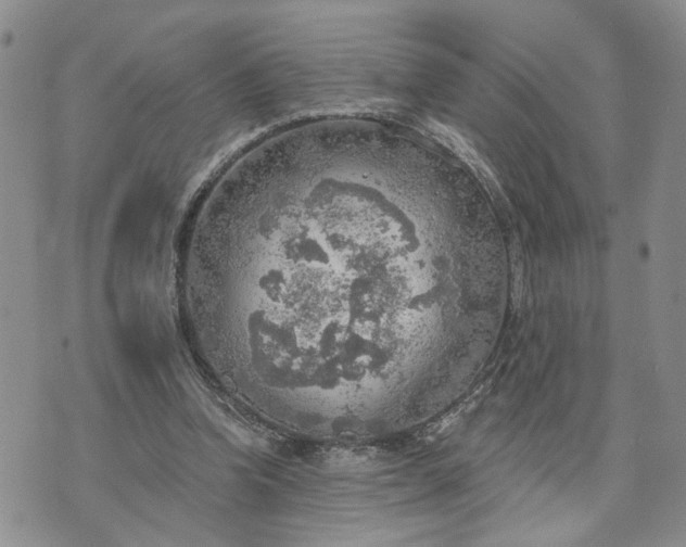 X0000072970346200608041223