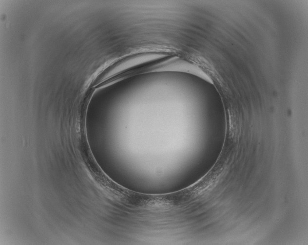 X0000072970348200608041223