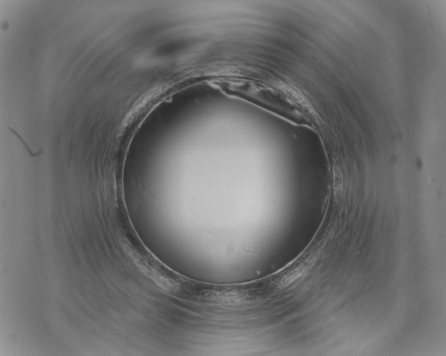 X0000072970349200608041224