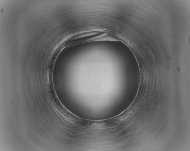 X0000072970350200608041224