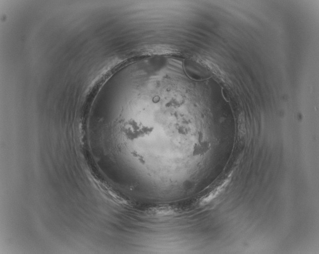 X0000072970351200608041224